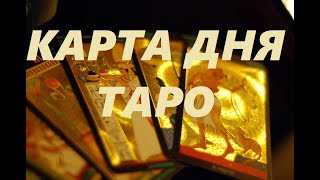 КАРТА ДНЯ 24 НОЯБРЯ! Гадание на Таро. Королева Жезлов