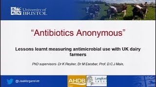 "Antibiotics Anonymous”- Lessons learnt measuring antimicrobial use with UK dairy farmers