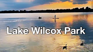 Wilcox湖公园(Lake Wilcox Park): 这个湖公园是钓鱼、帆板运动、划船, 也是饭后散步，看鸳鸯戏水、观夕阳西下、听渔歌唱晚休闲及运动的地方。