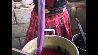 BGT: Textile Dye Process (Guatemala)