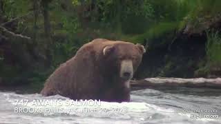 747 Surveys Brooks Falls and Awaits the First Salmon - Explore.org