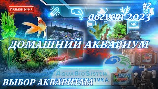 Прямой эфир август 2023. Домашний аквариум. Выбор аквариума. #2