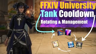 FFXIV Tank Cooldown Compendium, Mitigation Management, Rotating & More [Outdated]