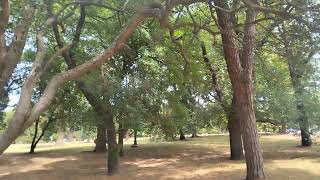 PARQUE BATLLE -MONTEVIDEO URUGUAY -