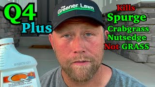 Remove Crabgrass and Broadleaf Weeds FAST- Q4 Plus Overview