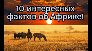 10 интересных фактов об Африке! 2024 07 31