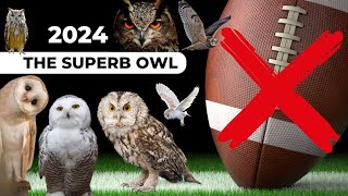 SuperbOwl 2024