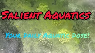 Your Daily Aquatic Dose!