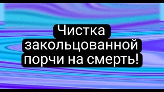 ЧИСТКА ЗАКОЛЬЦОВАННОЙ ПОРЧИ НА СМЕРТЬ🙏💯🍀