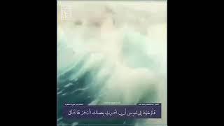 فَأوَ حَيٌناَ الَىِ موُسىٰ || الشيخ عبد الباسط رحمة الله || حالات واتس اب قران كريم