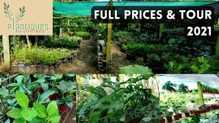 MURANG HALAMAN SUPER SALE!! FULL PRICES AND TOUR PLANTIQUES PHILIPPINES SILANG, CAVITE NEAR TAGAYTAY