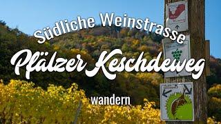 Pfälzer Keschdeweg | Etappe 2 Annweiler bis Albersweiler | Wandern Südliche Weinstraße