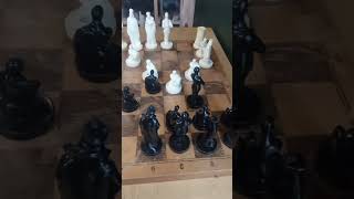 COOL CHESS😊😊😊🇺🇦🇺🇦🇺🇦💪💪💪❤❤❤👍👍👍