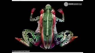 Eyes opening  BODY PAINT Art which you have ever seen