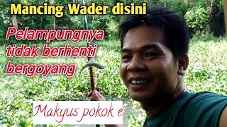 MANCING IKAN WADER GILA MAKAN