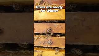 Beehives are ready for Winter