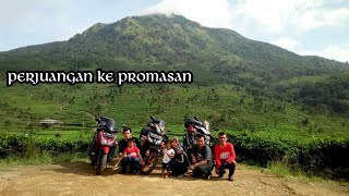 Kebun Teh Medini Promasan Gunung Ungaran #kebuntehmedini