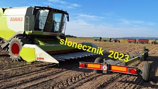 slonecznik 2023 !!! dożynki