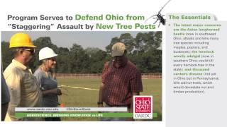 Program Serves to Defend Ohio from "Staggering" Assault by New Tree Pests