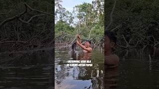 Rawa papua #merauke #papuaselatan #short #fishing