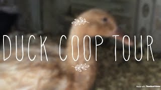 DUCK COOP TOUR