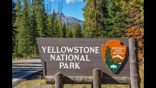 Yellowstone National Park 2022