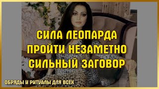 СИЛА ЛЕОПАРДА.  ПРОЙТИ НЕЗАМЕТНО.  СИЛЬНЫЙ ЗАГОВОР.  ДЛЯ ВСЕХ.  ВЕДЬМИНА ИЗБА ▶️ ИНГА ХОСРОЕВА.