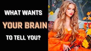 What wants your brain to tell you? - Personality Tests