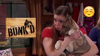 Bad Dog! | Bunk’D | Clip