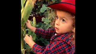 Abraham The Farmer Story (Song) For Kids