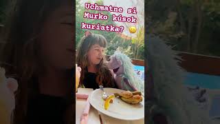 Hanička a Murko | Vtipné videá | Pre deti | Murko a kuriatko | #shorts #funnyvideo #chicken