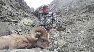 Koryak Snow sheep hunting with ProfiHunt - great snow sheep trophies