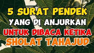 5 SURAT PENDEK YANG DI ANJURKAN UNTUK DI BACA KETIKA SHOLAT TAHAJUD @KhaulaSenja