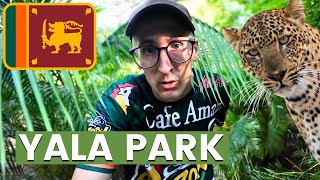 Where to Stay Near Yala National Park? (Cheap & Good) 🇱🇰