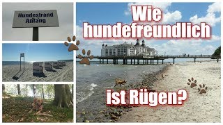 Hundefreundlichkeit Insel Rügen / Freizeitmöglichkeiten mit Hund