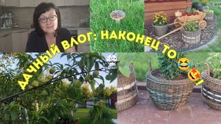 Дачный влог: наконец- то!!! 🤗👍❤