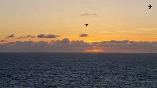 Sun setting into the ocean on Lundy Island. Beautiful sun set, a ruin, canons and views out to sea