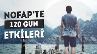 120 Gün Nofap Etkileri | Yaş 31 | Başarı Hikayeleri