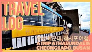 부산 해운대 & 청사포 여행, A Trip at Haeundae & Cheongsapo, Busan