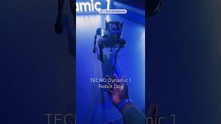 TECNO Dynamic 1 Robot Dog. AI Powered!. #shorts