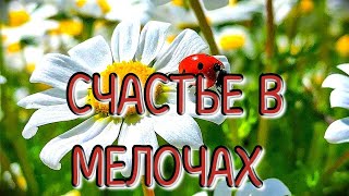 Счастье в мелочах. Автор Наталья Майорова. Читает Лёня Бархатов ( 15 лет).