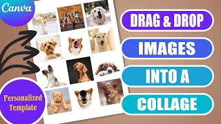 Drag and drop images into a personalised collage template in CANVA | EASY TUTORIAL