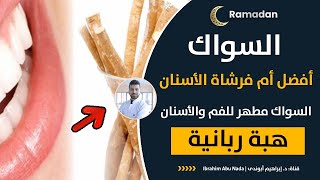 اسرار عجيبة للسواك هتخليك تستخدمه طول عمرك👌💯| الطريقه الصحية لاستخدام السواك 🥳|السواك مطهر  للاسنان🦷