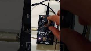 neunaber Immerse Reverberator Mk II #shorts #guitar #reverb #neunaber #shimmer