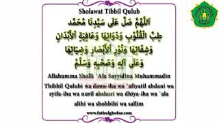 ✨Sholawat Thibbil Qulub 🤲