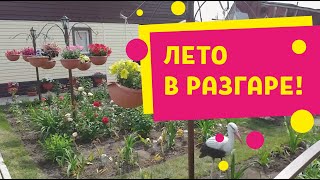 Цветов много не бывает! Летнее НаСтРоЕнИе