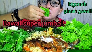 MUKBANG NASI PADANG IKAN BAWAL BAKAR SUPER JUMBO LALAPAN MENTAH..|mukbang sunda bikin lahap makan