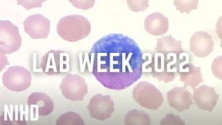 Lab Week