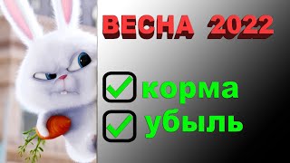 Весна 2022... Кормовые запасы, сокращение поголовья