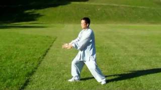 Wang Fengming  - Chen Style Hun Yuan Tai Ji - Qi Gong - Dan Tian